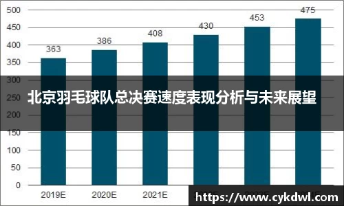 北京羽毛球队总决赛速度表现分析与未来展望