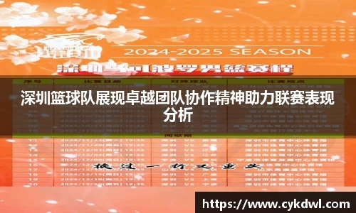深圳篮球队展现卓越团队协作精神助力联赛表现分析