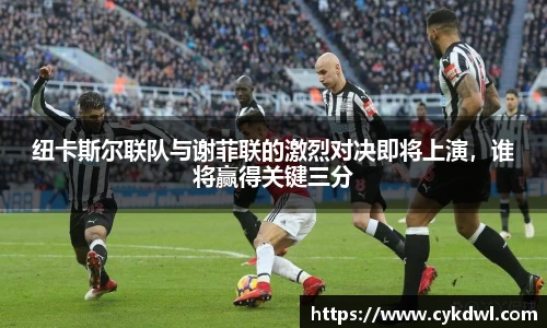 美嘉体育纽卡斯尔联队与谢菲联的激烈对决即将上演，谁将赢得关键三分